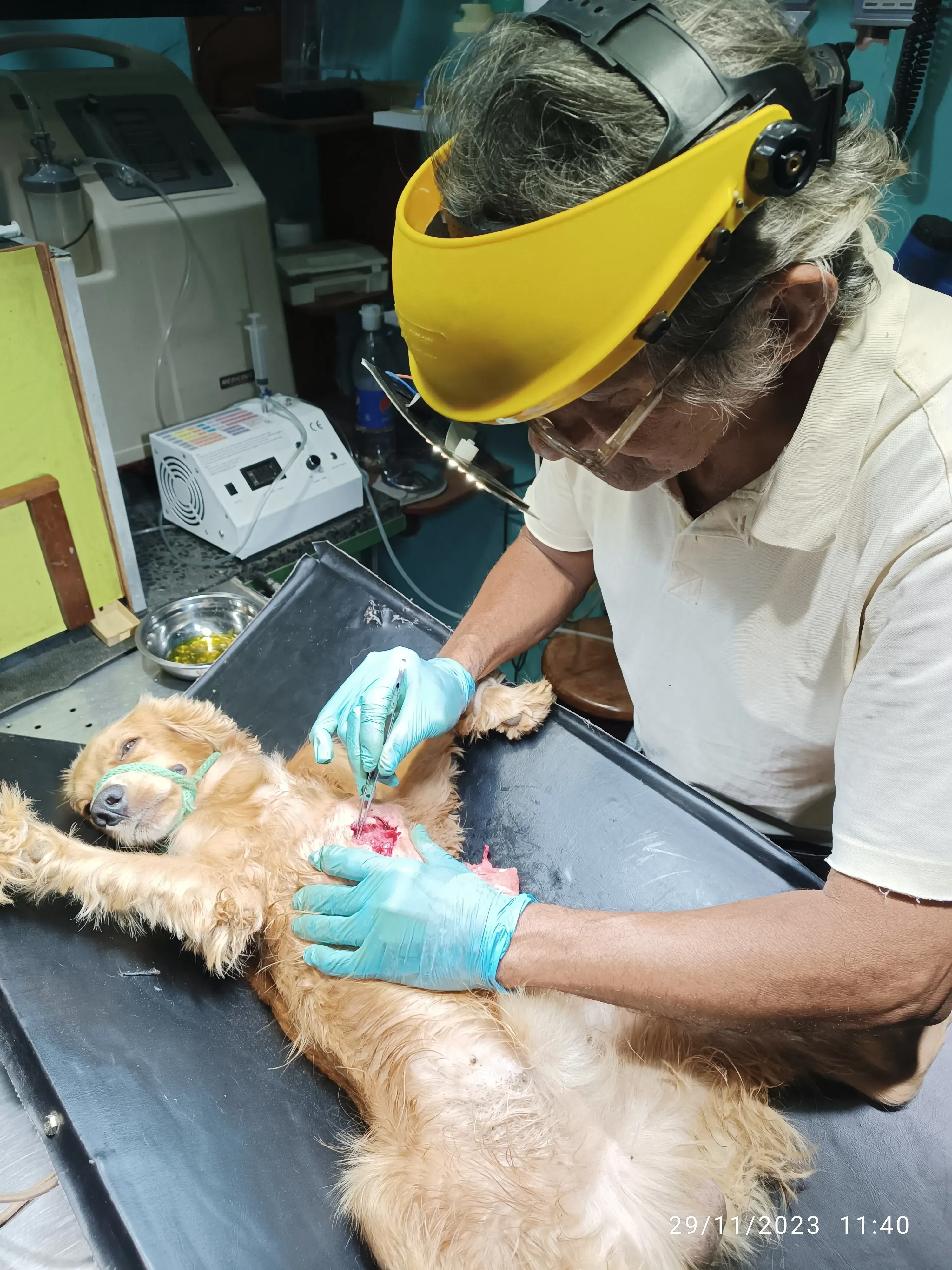 Curas, tratamientos y emergencias